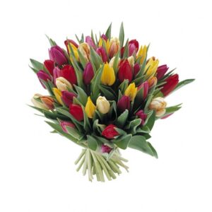 alle kleuren tulpen als boeket